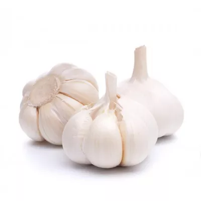 Roshun(garlic)